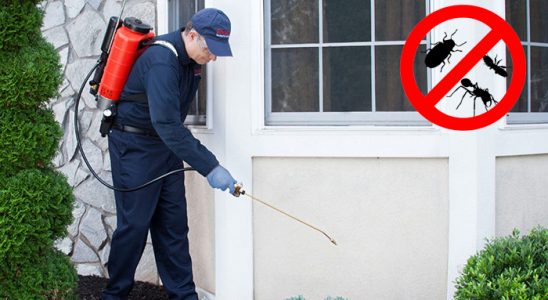 İskilip Hamam Böceği İlaçlama böcek ilaçlama ve haşere kontrolü — ilaclama-tr.com